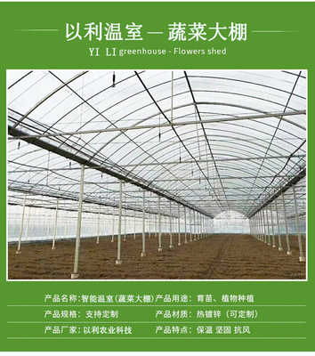 以利農業 專業化設計與一站式服務，打造高效智能的花卉養殖大棚與連棟玻璃溫室