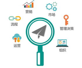 從數(shù)據(jù)應(yīng)用到商業(yè)藍(lán)海 企業(yè)管理領(lǐng)域萬(wàn)億市場(chǎng)的開拓之路